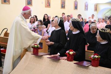 Sestre Družbe Presvetog Srca Isusova Sestre Družbe Presvetog Srca Isusova