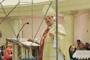 Proslava sv. Josipa u Breznici Đakovačkoj