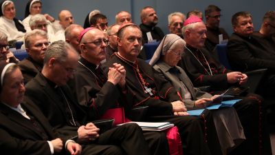 Dikasterij za ustanove posvecenog zivota i druzbe apostolskog zivota 11