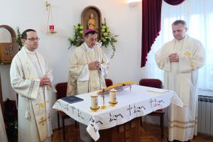 Družba sestara Presvetog Srca Isusova