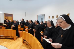 Školske sestre franjevke