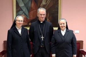 Družba školskih sestara franjevki Krista Kralja