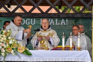 Hrvatska franjevačka provincija sv. Ćirila i Metoda