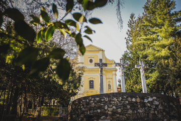 Izabrani provincijski vikar i provincijski vijećnici franjevaca trećoredaca Izabrani provincijski vikar i provincijski vijećnici franjevaca trećoredaca