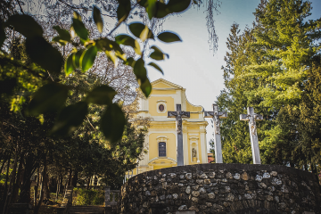 Izabrani provincijski vikar i provincijski vijećnici franjevaca trećoredaca