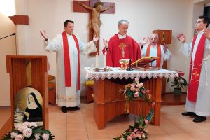 Družba sestara franjevki od Bezgrješne