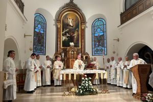 Družba sestara milosrdnica svetoga Vinka Paulskoga