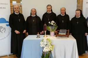 Provincija Krista Kralja Družbe Kćeri Milosrđa