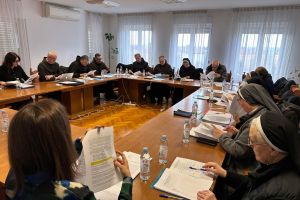 Održana plenarna sjednica VFZ-a u Hrvatskoj i Bosni i Hercegovini