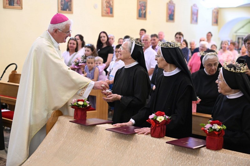 Sestre Družbe Presvetog Srca Isusova Sestre Družbe Presvetog Srca Isusova
