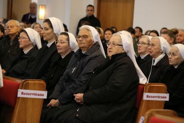 Družba sestara milosrdnica sv. Vinka Paulskog