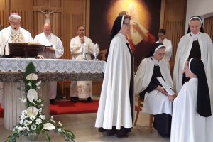 Hrvatska provincija Karmelićanki Božanskog Srca Isusova