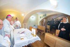Sestre milosrdnice iz Siska proslavile svetkovinu sv. Vinka Paulskoga