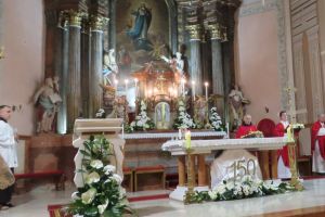 Sestre milosrdnice sv. Vinka Paulskog