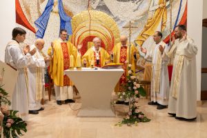 Družba sestara milosrdnica sv. Vinka Paulskoga